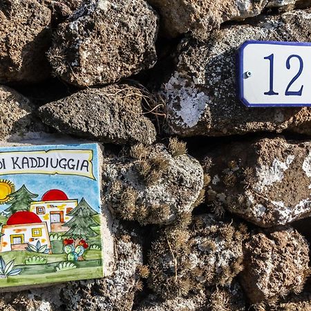 Dammuso I Pini Di Kaddiuggia Villa Campobello Exterior foto