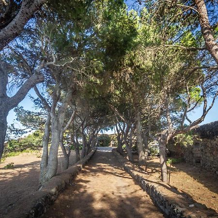 Dammuso I Pini Di Kaddiuggia Villa Campobello Exterior foto