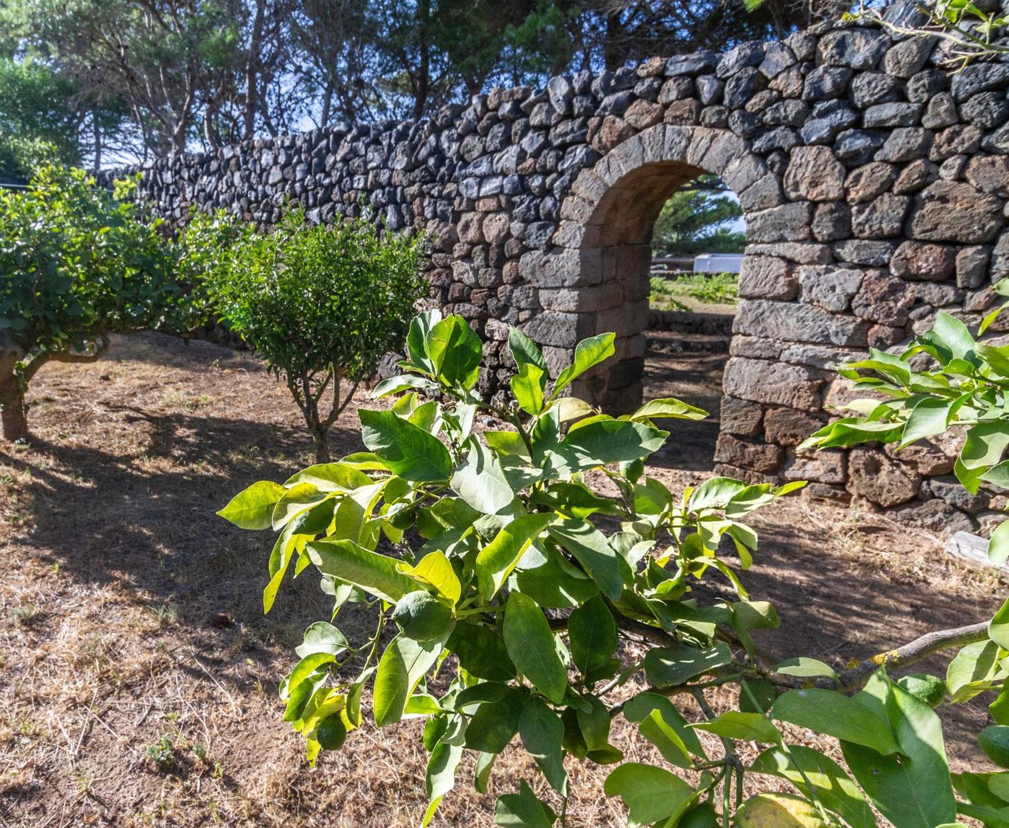 Dammuso I Pini Di Kaddiuggia Villa Campobello Exterior foto